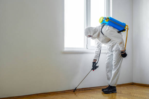 Indoor Pest Control in Orting, WA